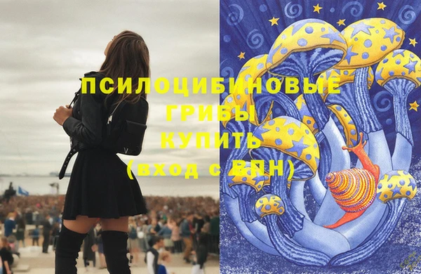ECSTASY Алексеевка