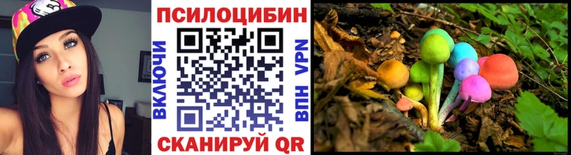 Галлюциногенные грибы Psilocybine cubensis  где купить   Краснообск 